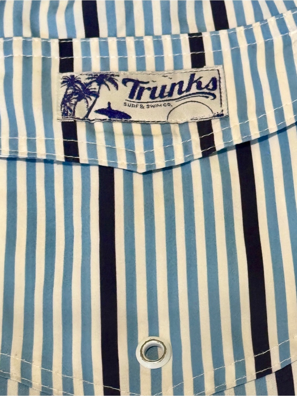 Trunks Surf & Swim Co. Light Blue & White Stripe Swim Trunks